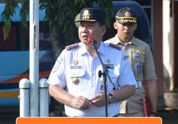 SnapInsta.to_659834752_18402883852178536_6639142225075968836_n